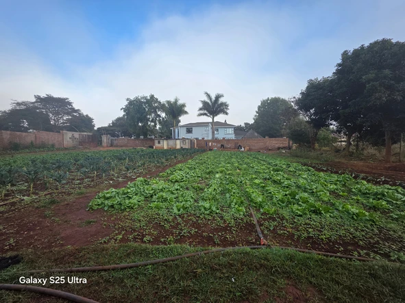 Stands & Residential Land