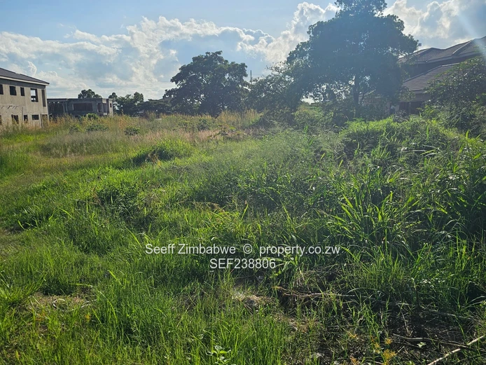 Investment opportunity in Arlington! (Sole Mandate)