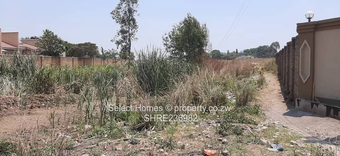 Waterfalls Stand  for Sale