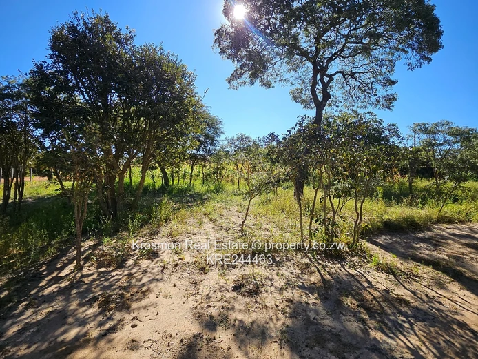 Marondera 2016m² Stand — Main Road Frontage & Subdivision Potential