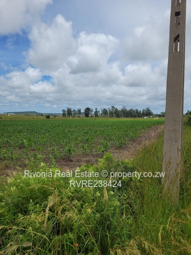 Spitzkop 10 Hectares Ideal For Residential Stands 1.5 Million