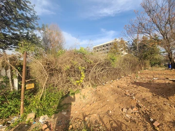 Commercial & Industrial Land