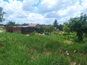 Stands & Residential Land