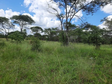 Farm & Agricultural Land