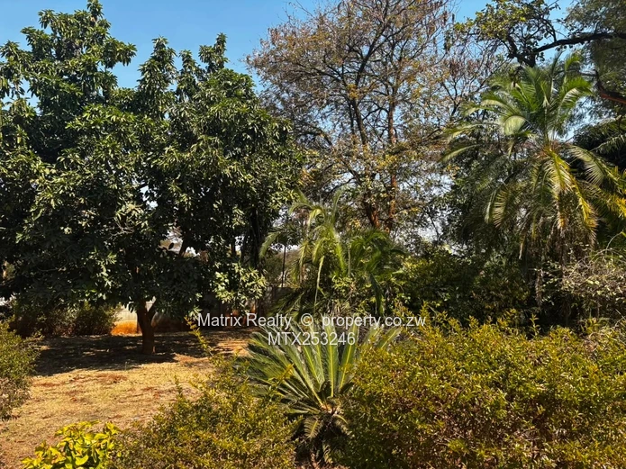 3 Bedroom Home with 2 Cottages for Sale in Bluffhill
