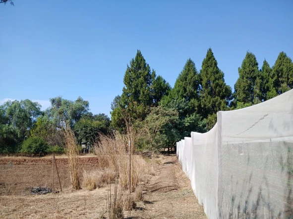 Farm & Agricultural Land