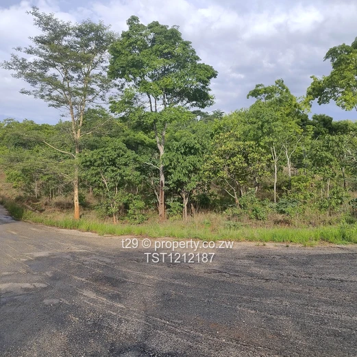 Borrowdale Carrick creagh estate stand for sale (Sole Mandate)