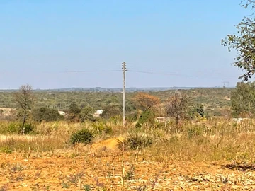 Farm & Agricultural Land