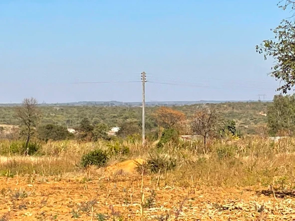 Farm & Agricultural Land