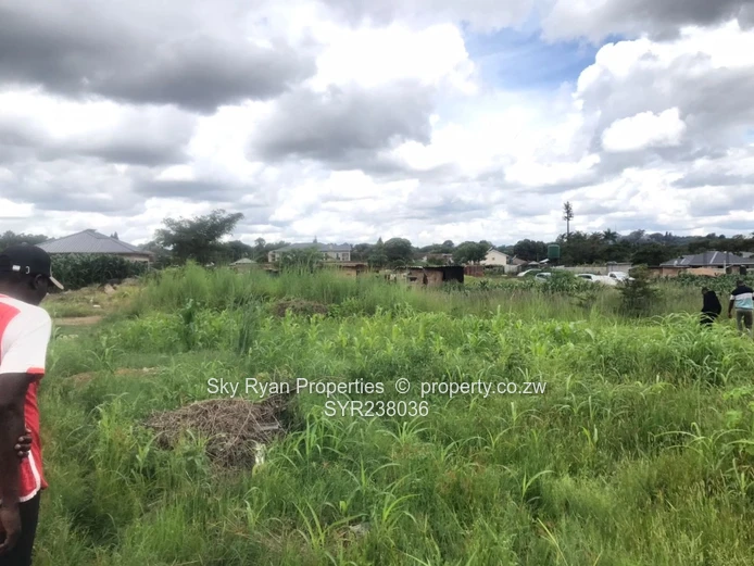 Avondale Strathaven Stand For Sale