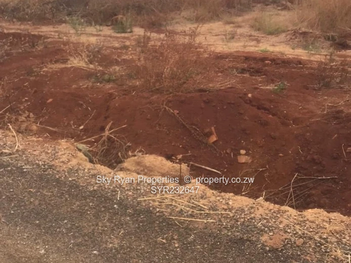 Pomona Nyeredzi Ridge Stands For Sale 