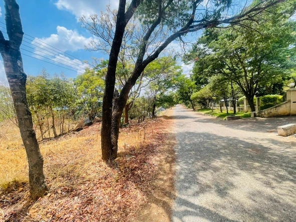 Stands & Residential Land