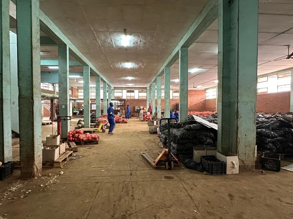 Shop & Retail Property