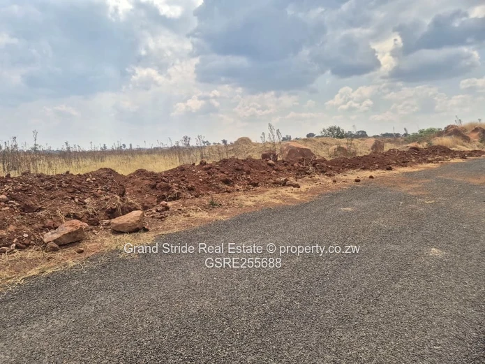 Nyeredzi Ridge Stand For Sale