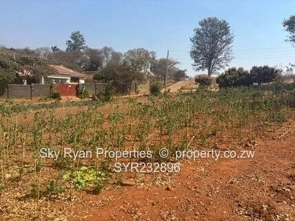 Tynwald Stand For Sale 