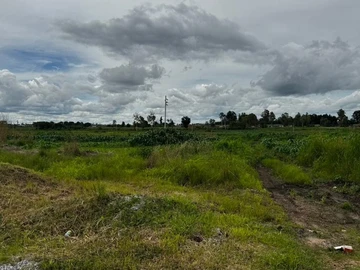 Commercial & Industrial Land