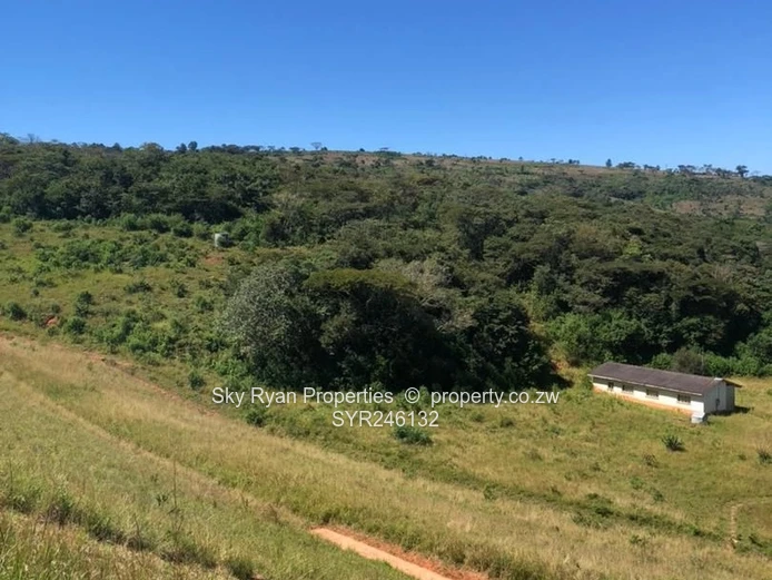Bangazani Estate, Chipinge
