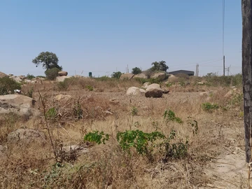 Commercial & Industrial Land