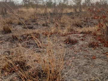 Exceptional Value , agro-residential plot !!