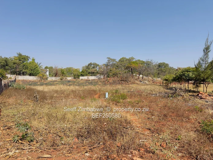 Prime Vacant Land Opportunity in Mandara