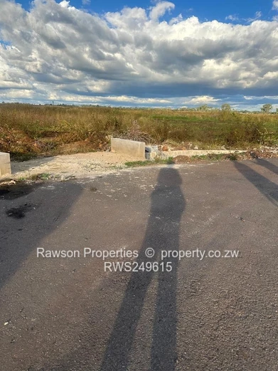 Reinham residential stands for sale 