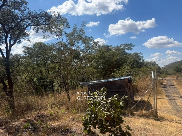 3500m² Tree-Shaded Stand with Gated Access in Glen Lorne
