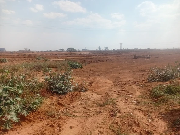Commercial & Industrial Land