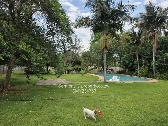 Residential house for rent