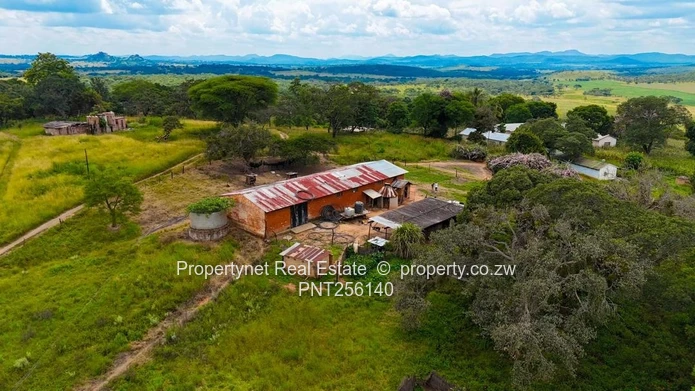 Mazowe South Farm!!!