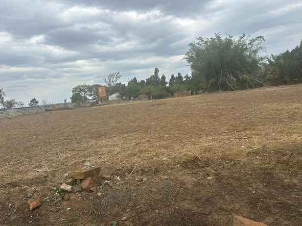 Commercial & Industrial Land