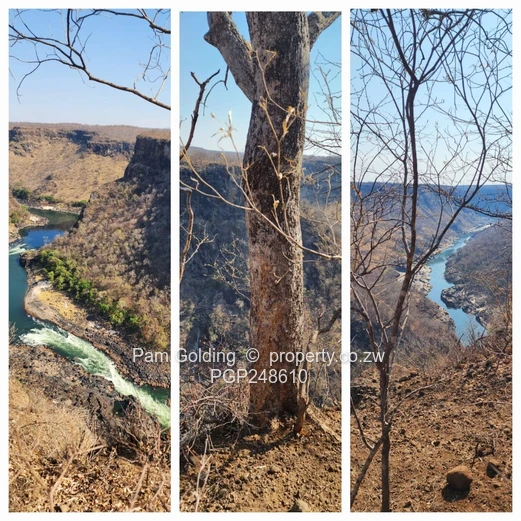 Prime Commercial Land With Spectacular Gorge Views