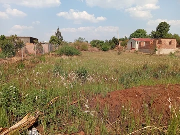 Stands & Residential Land