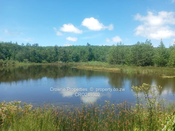 Plot For Sale