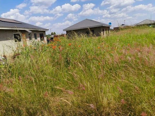 Stands & Residential Land