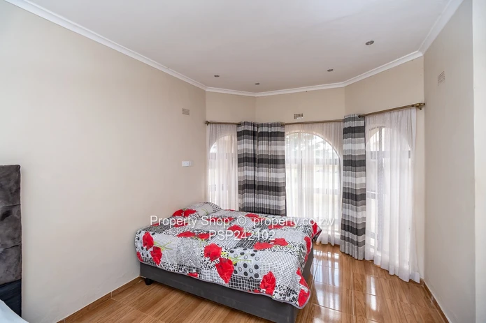 Endless Possibilities In Glaudina