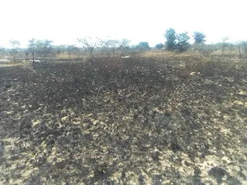 Farm & Agricultural Land