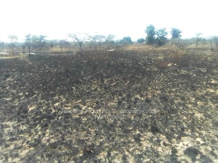 A sizeable piece of land fit for cultivation. 