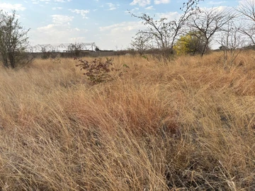 Commercial & Industrial Land