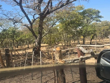 Farm & Agricultural Land