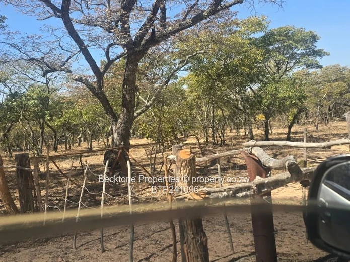 428ha Bubi Grazing Farm with Cattle Kraal & Dip Tank