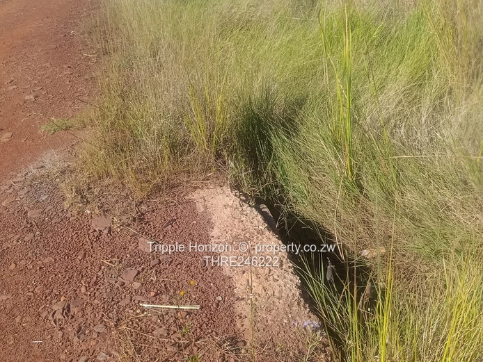1000m² Norton Stand — Level, built up area