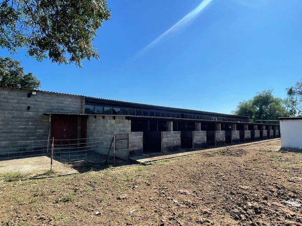 Farm & Agricultural Land