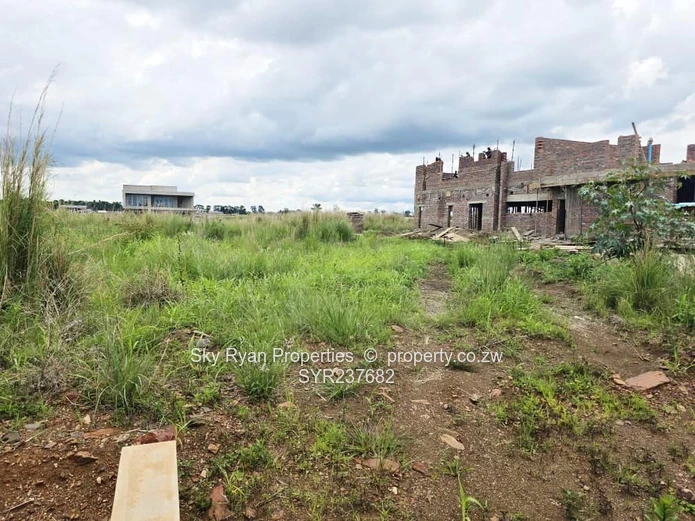 Pomona City Stand For Sale