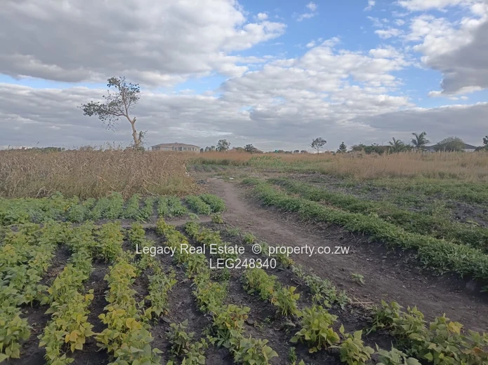 Prime 1-Hectare Plot In Rainham With Reliable Water Supply