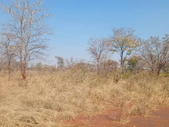 Farm & Agricultural Land