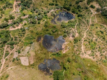 Farm & Agricultural Land