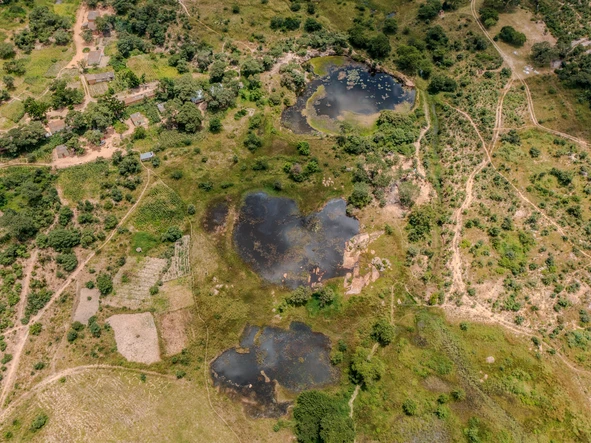 Farm & Agricultural Land