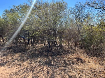 Stands & Residential Land