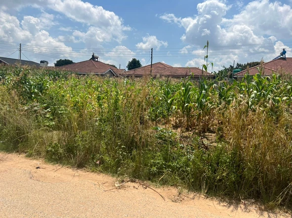 Commercial & Industrial Land