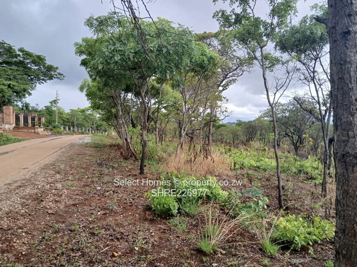 Shawasha Hills Land For Sale